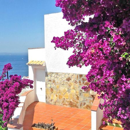 Splendido Studio, Vista Mare, A 5Mn Dalla Spiaggia - Casa Artevida Росас Экстерьер фото