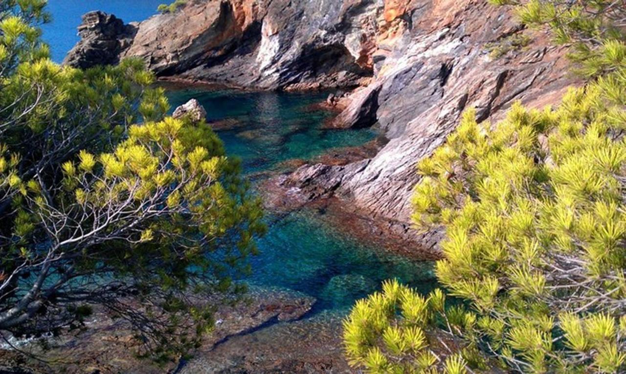 Splendido Studio, Vista Mare, A 5Mn Dalla Spiaggia - Casa Artevida Росас Экстерьер фото